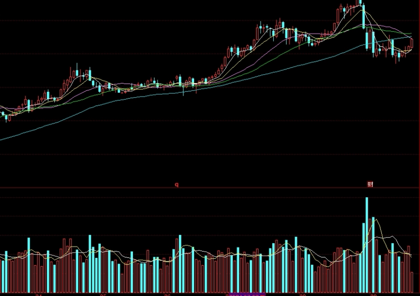 菜粕是期货热门吗(菜粕是期货热门吗为什么)_http://oudox.cn_纳指期货喊单_第1张